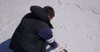 Фото Удивительное рядом №23